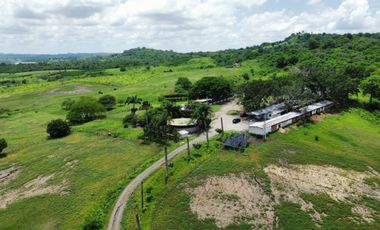 Venta de Finca con Caballeriza en Guayas Vía Playas