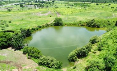 Venta de Finca con Caballeriza en Guayas Vía Playas