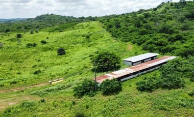 Venta de Finca con Caballeriza en Guayas Vía Playas