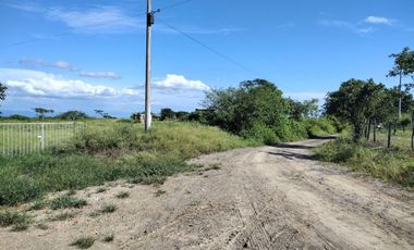 Finca en Venta en Manta Aromo Sector La Sierrita