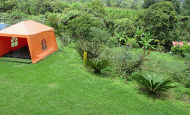 VENTA FINCA VEREDA LA VENTURA A 15 MINUTOS DE LA CUMBRE VALLE.  CON TERRENO PRODUCTIVO.