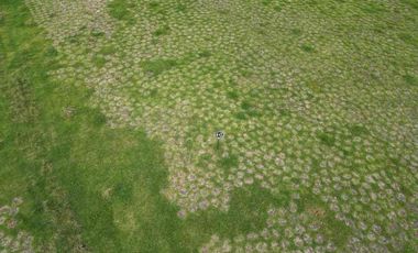 VENTA HERMOSO LOTE SECTOR ACUARELA PALMAS