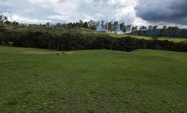 VENTA HERMOSO LOTE SECTOR ACUARELA PALMAS