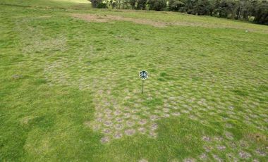 VENTA HERMOSO LOTE SECTOR ACUARELA PALMAS