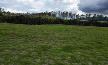 VENTA HERMOSO LOTE SECTOR ACUARELA PALMAS