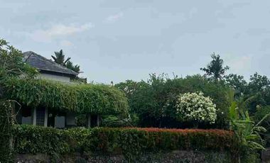 Dijual villa dengan view sawah spektakuler dan langka di Canggu kaba kaba Bali