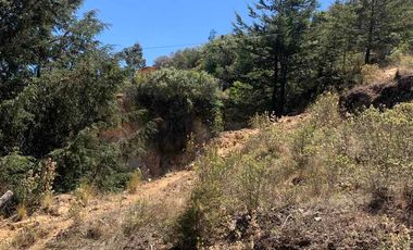 Venta de Terreno Real del Monte