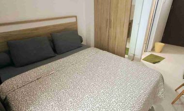 Springwood | Studio | Bulaan