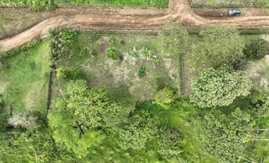 Lotes de 1.520 m²  c/u con Frutales | Piscina, Ríos y Seguridad 24/7 | PVM | $35.000 c/u Negociable