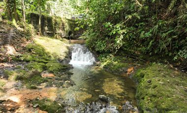 Lotes de 1.520 m²  c/u con Frutales | Piscina, Ríos y Seguridad 24/7 | PVM | $35.000 c/u Negociable