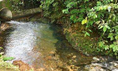 Lotes de 1.520 m²  c/u con Frutales | Piscina, Ríos y Seguridad 24/7 | PVM | $35.000 c/u Negociable