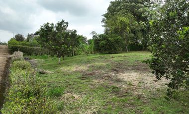 Lotes de 1.520 m²  c/u con Frutales | Piscina, Ríos y Seguridad 24/7 | PVM | $35.000 c/u Negociable