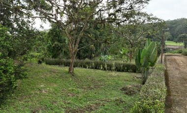 Lotes de 1.520 m²  c/u con Frutales | Piscina, Ríos y Seguridad 24/7 | PVM | $35.000 c/u Negociable