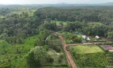 Lotes de 1.520 m²  c/u con Frutales | Piscina, Ríos y Seguridad 24/7 | PVM | $35.000 c/u Negociable