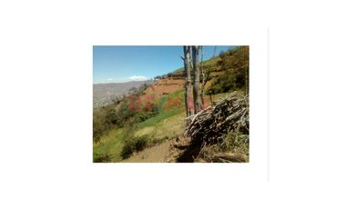 Venta Fundo Huarapa - Terreno Agricola Y/O Diversos Usos