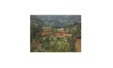 Venta Fundo Huarapa - Terreno Agricola Y/O Diversos Usos