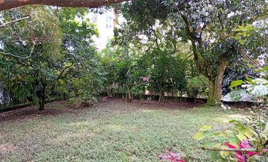 Casa Comercial en Venta en Las Lomas, Poblado Medelln Antioquia