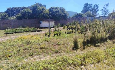 VENTA TERRENO ATUNTAQUI - ANDRADE MARÍN