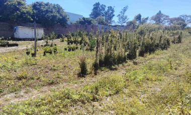 VENTA TERRENO ATUNTAQUI - ANDRADE MARÍN