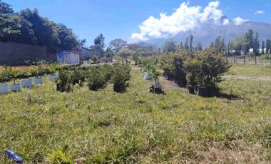 VENTA TERRENO ATUNTAQUI - ANDRADE MARÍN