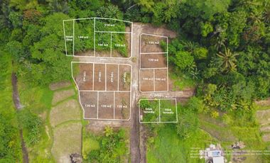 Tanah Kavling Strategis di Beng Gianyar Bali