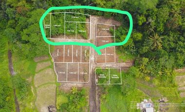 Tanah Kavling Strategis di Beng Gianyar Bali