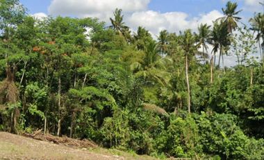 Tanah Kavling Strategis di Beng Gianyar Bali