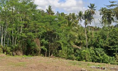 Tanah Kavling Strategis di Beng Gianyar Bali
