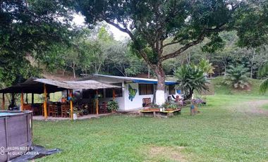 VENDO HERMOSA FINCA EN CUMARAL META