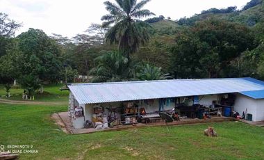 VENDO HERMOSA FINCA EN CUMARAL META