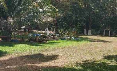 VENDO HERMOSA FINCA EN CUMARAL META