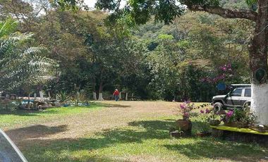 VENDO HERMOSA FINCA EN CUMARAL META