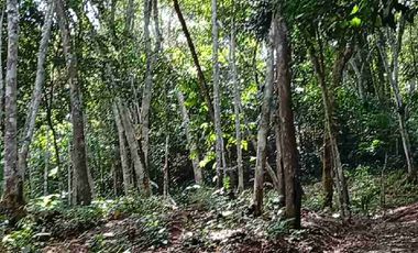 Tu casa de campo Aquí