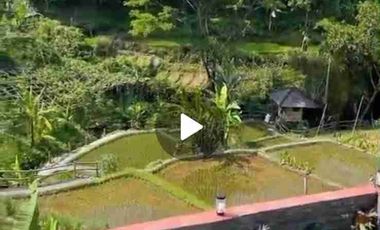 Dijual Vila dengan View Cantik Persawahan di Dekat Kaki Gunung