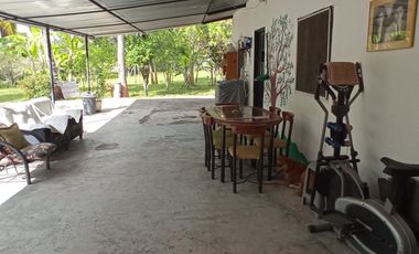 VENDO EXCELENTE CASA FINCA EN LLANO DE LA VIRGEN, COELLO, TOLIMA