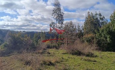 Terreno con 15 hectareas un Puyangue Comuna de Carahue, Región de la Araucanía.