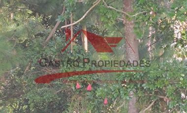 Terreno con 15 hectareas un Puyangue Comuna de Carahue, Región de la Araucanía.