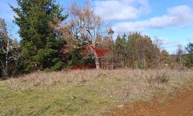 Terreno con 15 hectareas un Puyangue Comuna de Carahue, Región de la Araucanía.
