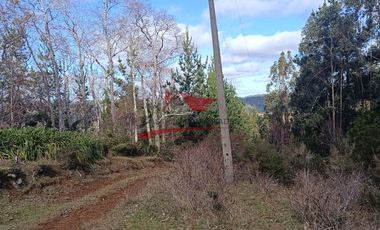 Terreno con 15 hectareas un Puyangue Comuna de Carahue, Región de la Araucanía.