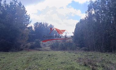 Terreno con 15 hectareas un Puyangue Comuna de Carahue, Región de la Araucanía.