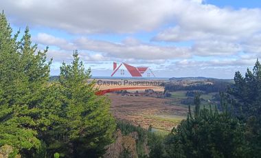 Terreno con 15 hectareas un Puyangue Comuna de Carahue, Región de la Araucanía.