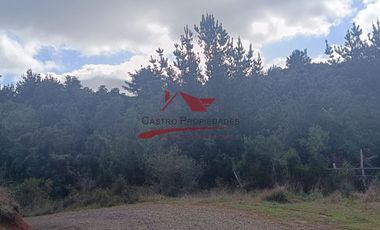 Terreno con 15 hectareas un Puyangue Comuna de Carahue, Región de la Araucanía.