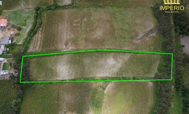 Venta, Cotacachi El Punge, Lote 5.332 m2