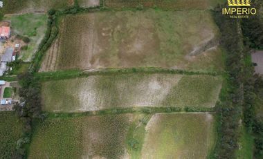 Venta, Cotacachi El Punge, Lote 5.332 m2