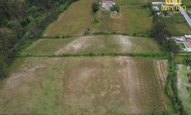 Venta, Cotacachi El Punge, Lote 5.332 m2