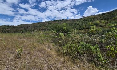 OPORTUNIDAD Propiedad de venta en Yunguilla Santa Isabel sector Naranjos. colinda con el Rio Rircay a 12 minutos de la vía Girón Pasaje