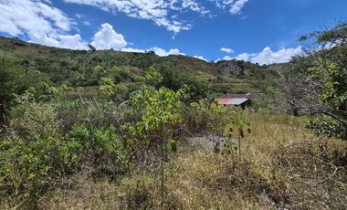 OPORTUNIDAD Propiedad de venta en Yunguilla Santa Isabel sector Naranjos. colinda con el Rio Rircay a 12 minutos de la vía Girón Pasaje