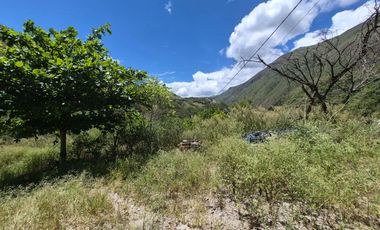 OPORTUNIDAD Propiedad de venta en Yunguilla Santa Isabel sector Naranjos. colinda con el Rio Rircay a 12 minutos de la vía Girón Pasaje