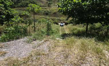 OPORTUNIDAD Propiedad de venta en Yunguilla Santa Isabel sector Naranjos. colinda con el Rio Rircay a 12 minutos de la vía Girón Pasaje