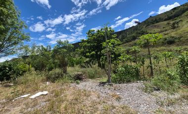 OPORTUNIDAD Propiedad de venta en Yunguilla Santa Isabel sector Naranjos. colinda con el Rio Rircay a 12 minutos de la vía Girón Pasaje